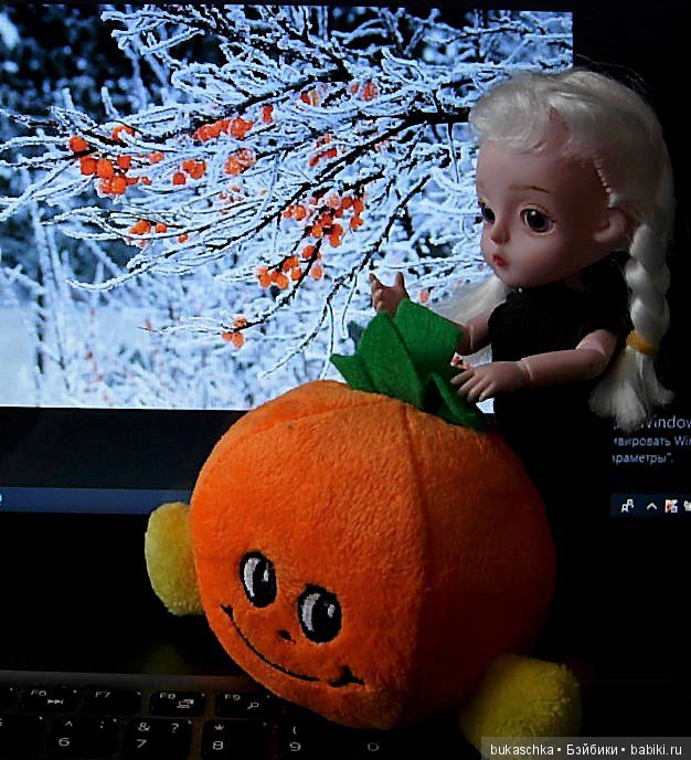 "Облепиховое лето" зимой — Разные шарнирные куклы (не БЖД): редкие