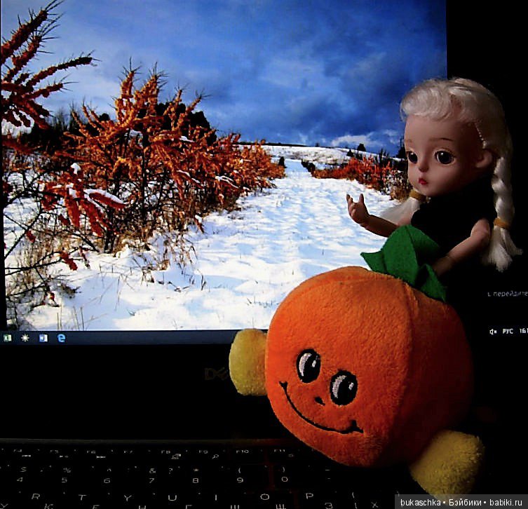 "Облепиховое лето" зимой — Разные шарнирные куклы (не БЖД): редкие