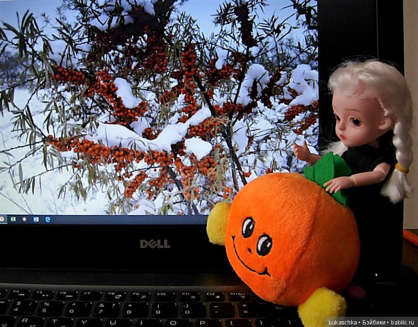 "Облепиховое лето" зимой — Разные шарнирные куклы (не БЖД): редкие