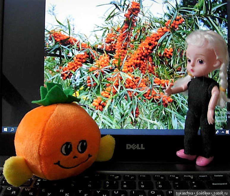 "Облепиховое лето" зимой — Разные шарнирные куклы (не БЖД): редкие