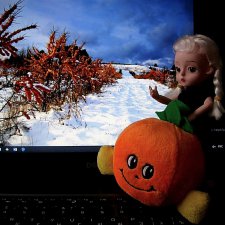 "Облепиховое лето" зимой