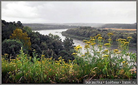 Как Маргарита сказку сочиняла