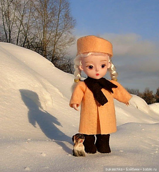 Зимняя прогулка или мир посмотреть, себя показать