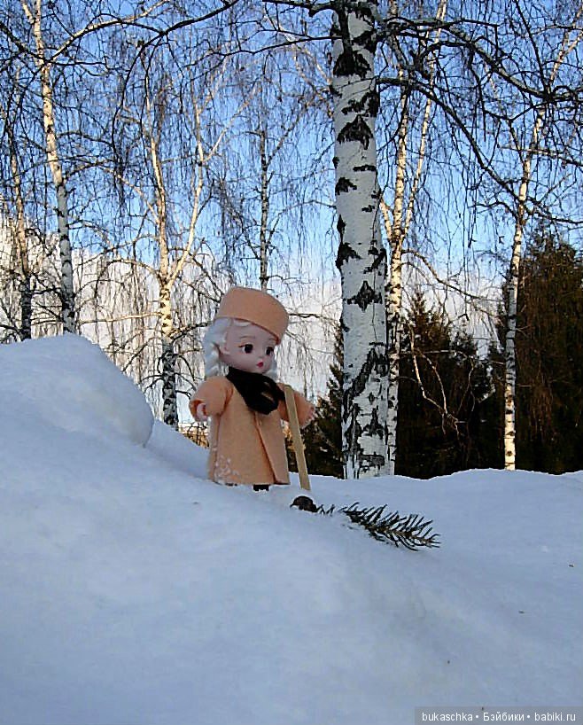 Зимняя прогулка или мир посмотреть, себя показать (фото 4)