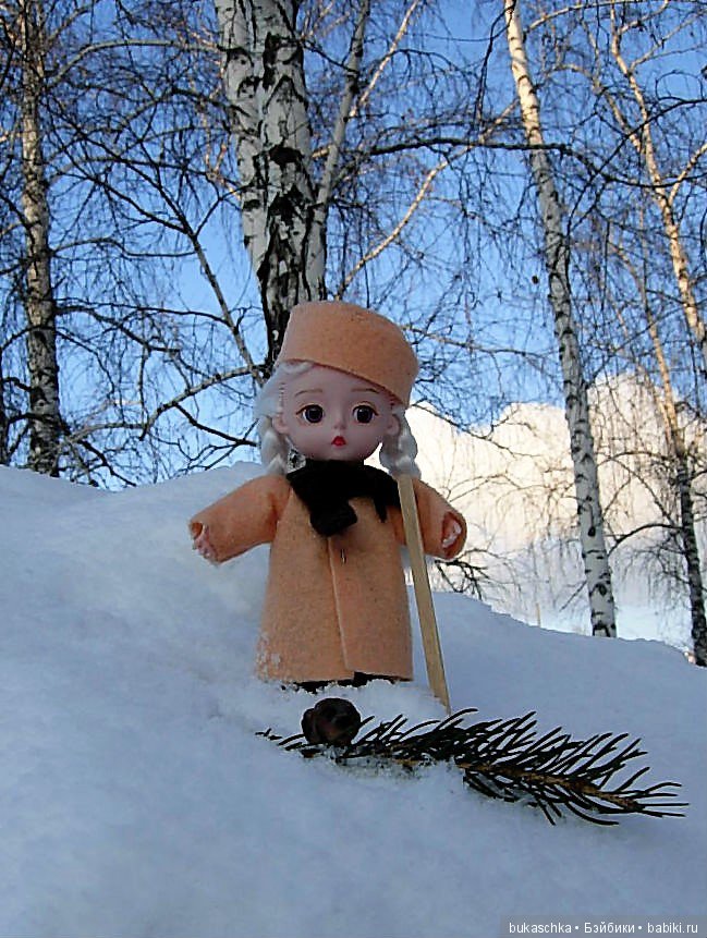 Зимняя прогулка или мир посмотреть, себя показать (фото 6)