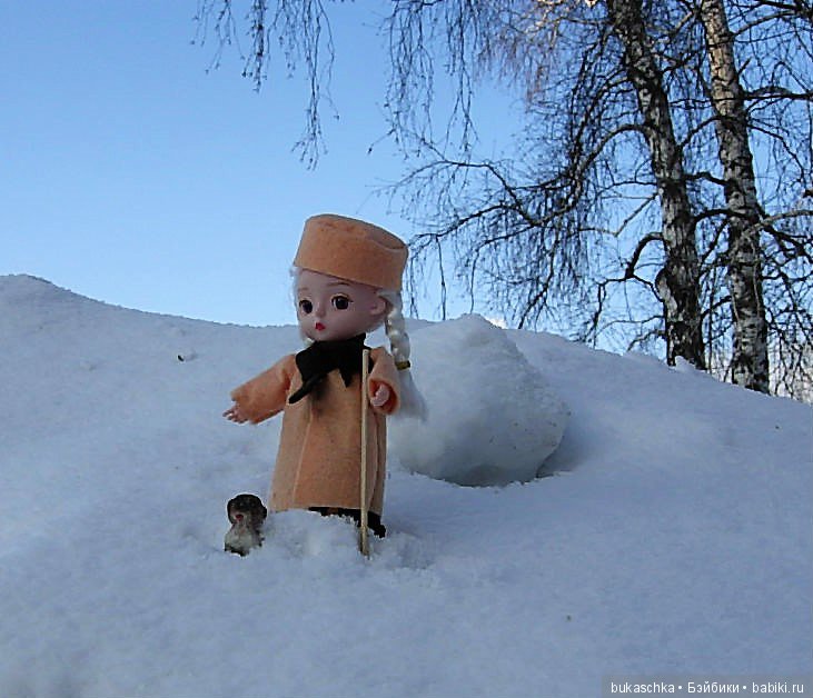 Зимняя прогулка или мир посмотреть, себя показать (фото 3)