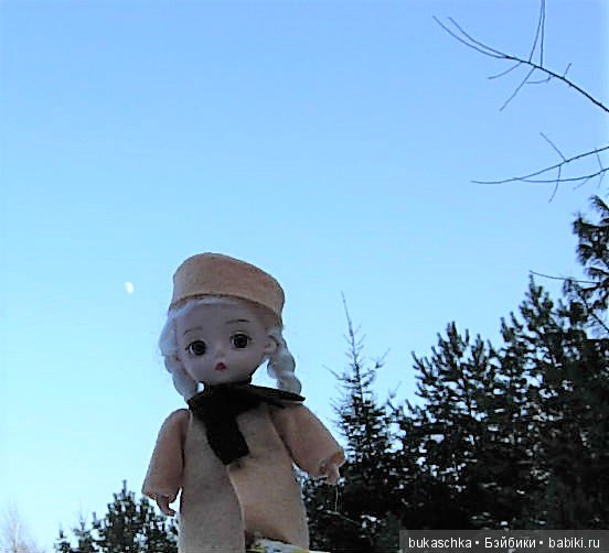 Зимняя прогулка или мир посмотреть, себя показать (фото 7)