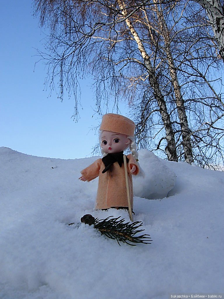 Зимняя прогулка или мир посмотреть, себя показать (фото 5)