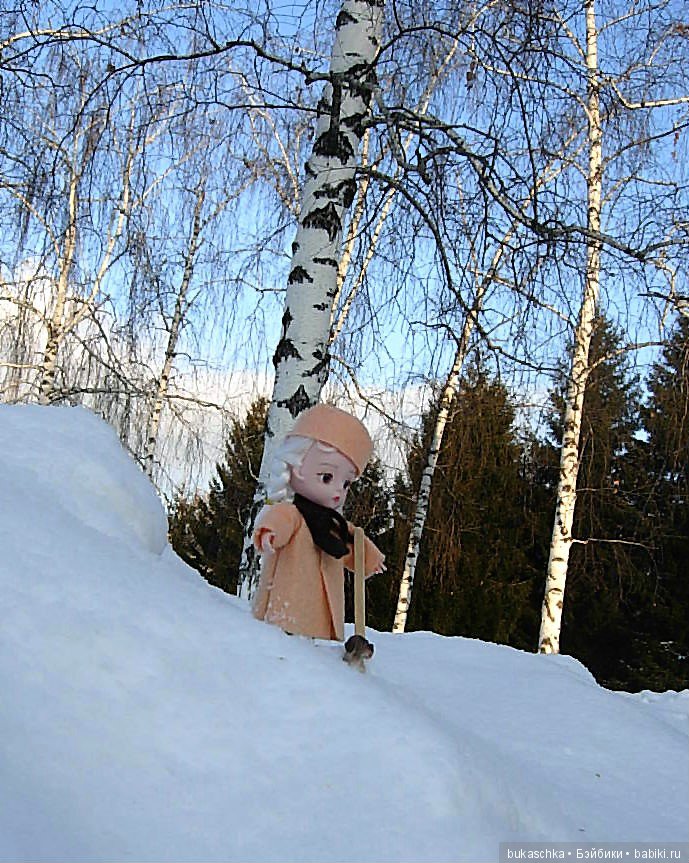 Зимняя прогулка или мир посмотреть, себя показать (фото 2)