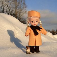 Зимняя прогулка или мир посмотреть, себя показать