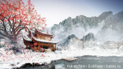 И вот уж китайский Новый год (фото 9)