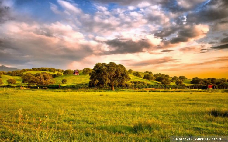 Подготовка к конкурсу "Иллюстрируем сказку". Часть 1. Хаврошечка