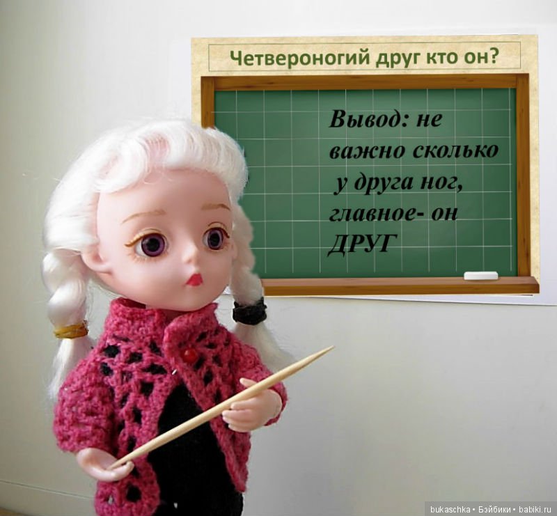 Четвероногий друг кто он? Кукольные научные исследования