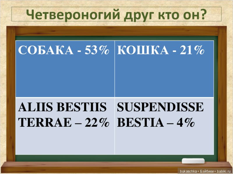 Четвероногий друг кто он? Кукольные научные исследования (фото 8)