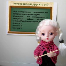 Четвероногий друг кто он? Кукольные научные исследования