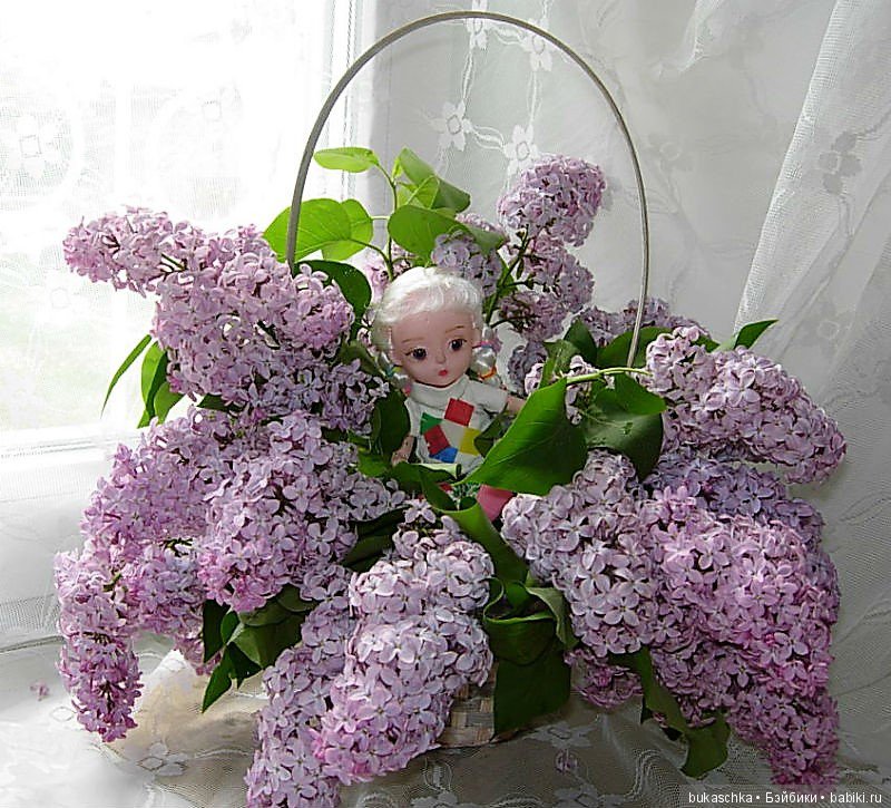 Сирень — Разные шарнирные куклы (не БЖД): редкие (фото 10)