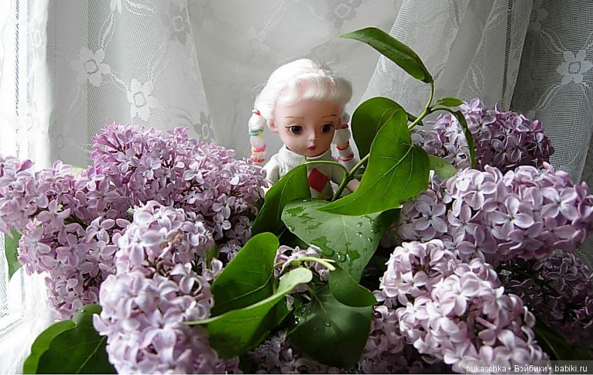 Сирень — Разные шарнирные куклы (не БЖД): редкие (фото 8)