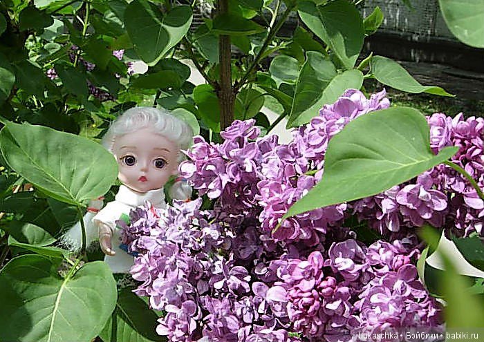 Сирень — Разные шарнирные куклы (не БЖД): редкие (фото 6)