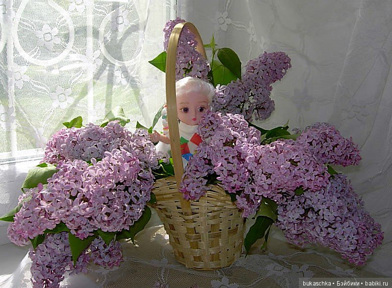 Сирень — Разные шарнирные куклы (не БЖД): редкие