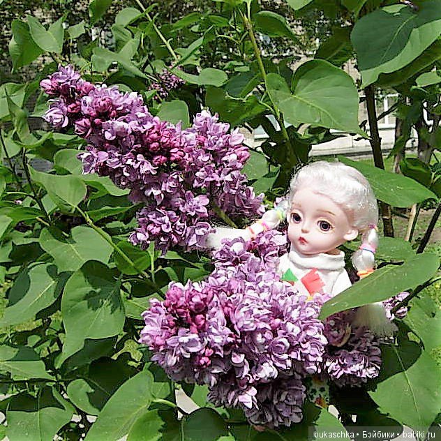 Сирень — Разные шарнирные куклы (не БЖД): редкие (фото 5)