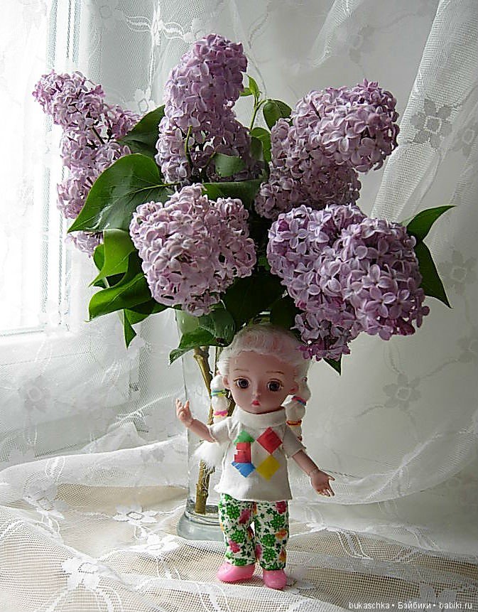 Сирень — Разные шарнирные куклы (не БЖД): редкие
