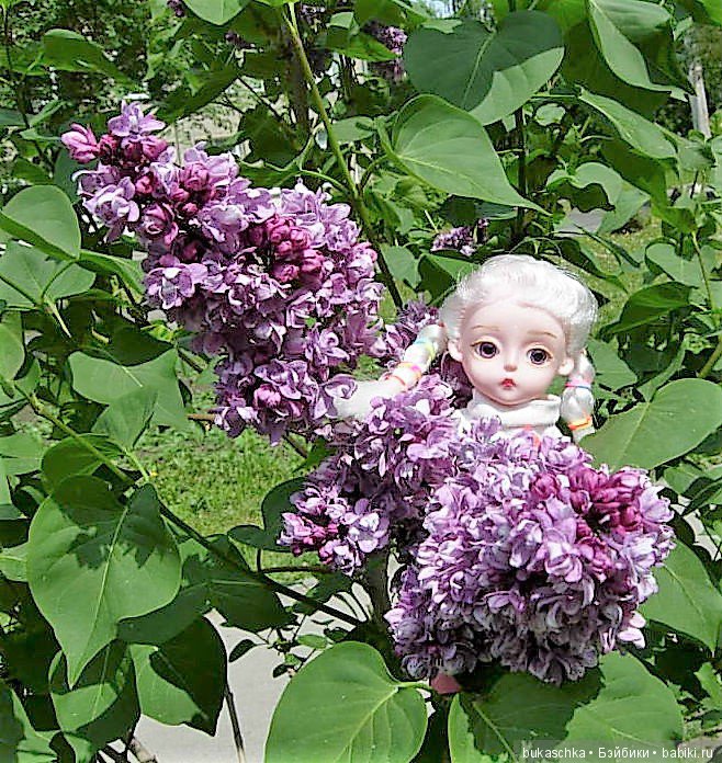 Сирень — Разные шарнирные куклы (не БЖД): редкие (фото 4)