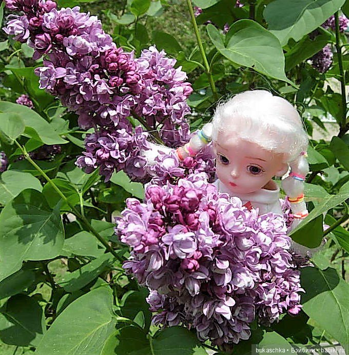 Сирень — Разные шарнирные куклы (не БЖД): редкие (фото 3)