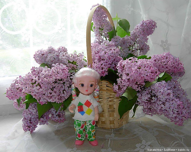 Сирень — Разные шарнирные куклы (не БЖД): редкие