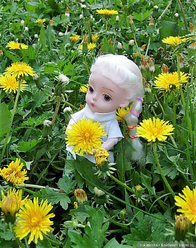 Одуванчик полевой — Разные шарнирные куклы (не БЖД): редкие (фото 4)