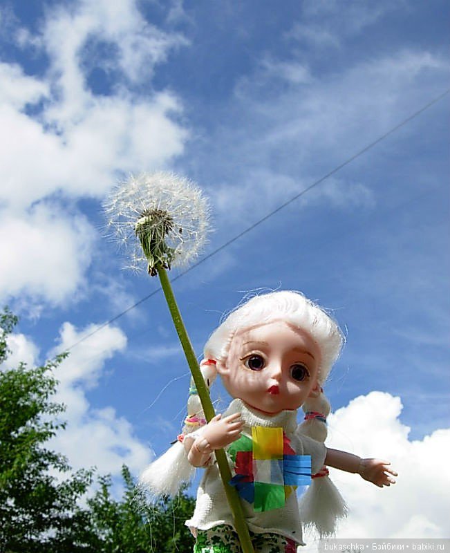 Одуванчик полевой — Разные шарнирные куклы (не БЖД): редкие