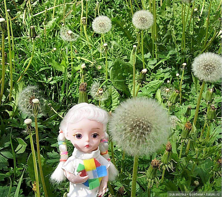 Одуванчик полевой — Разные шарнирные куклы (не БЖД): редкие (фото 7)