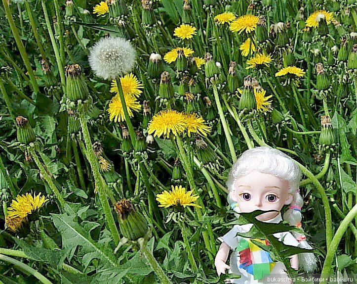Одуванчик полевой — Разные шарнирные куклы (не БЖД): редкие (фото 6)