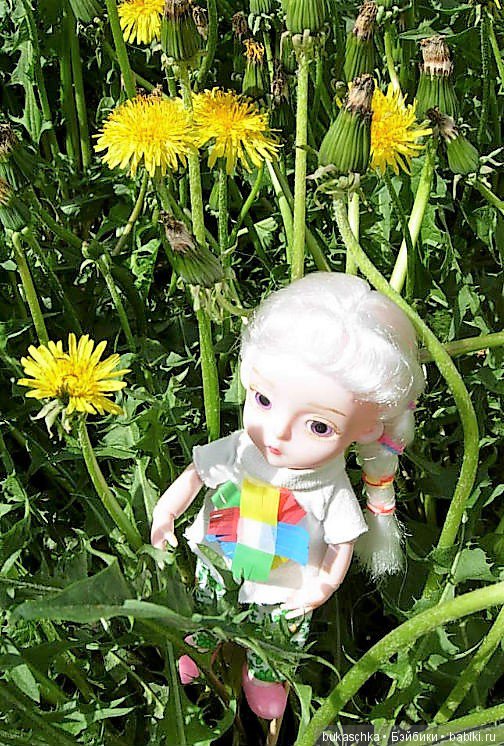 Одуванчик полевой — Разные шарнирные куклы (не БЖД): редкие