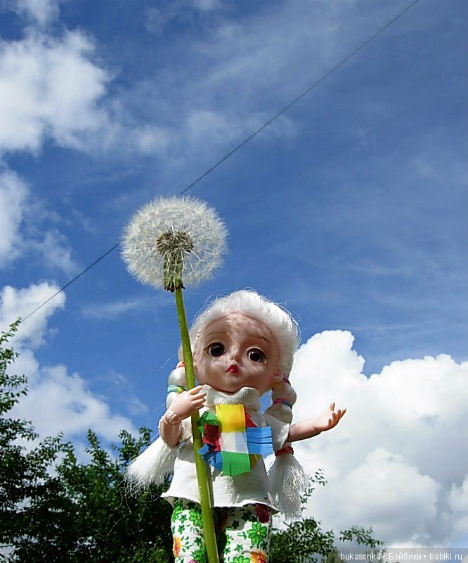 Одуванчик полевой — Разные шарнирные куклы (не БЖД): редкие
