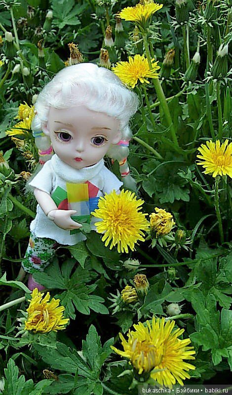 Одуванчик полевой — Разные шарнирные куклы (не БЖД): редкие (фото 2)