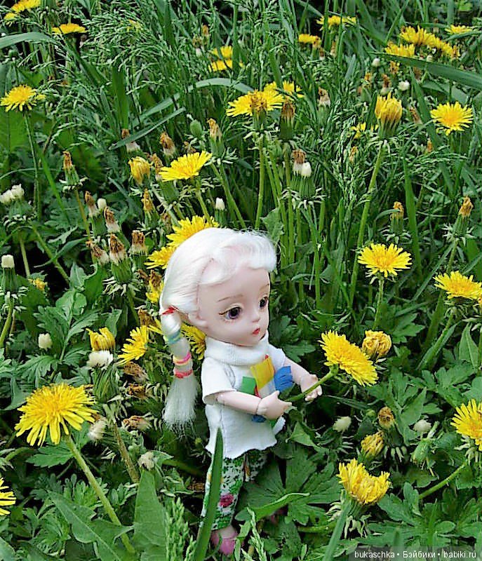 Одуванчик полевой — Разные шарнирные куклы (не БЖД): редкие (фото 3)