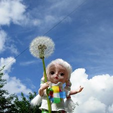 Одуванчик полевой