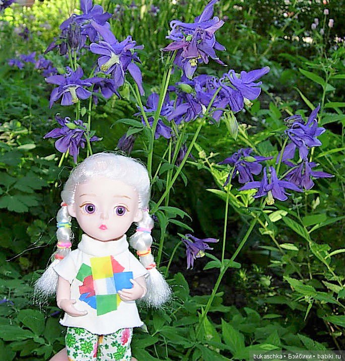 Аквилегия — Разные шарнирные куклы (не БЖД): редкие (фото 10)