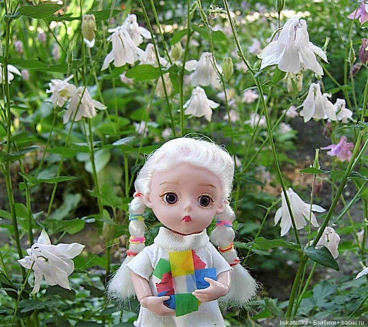 Аквилегия — Разные шарнирные куклы (не БЖД): редкие (фото 4)