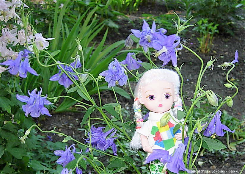 Аквилегия — Разные шарнирные куклы (не БЖД): редкие (фото 8)