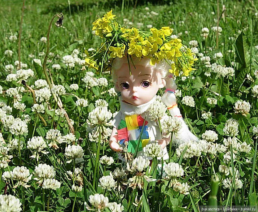 Посадил дед репку — Разные шарнирные куклы (не БЖД): редкие