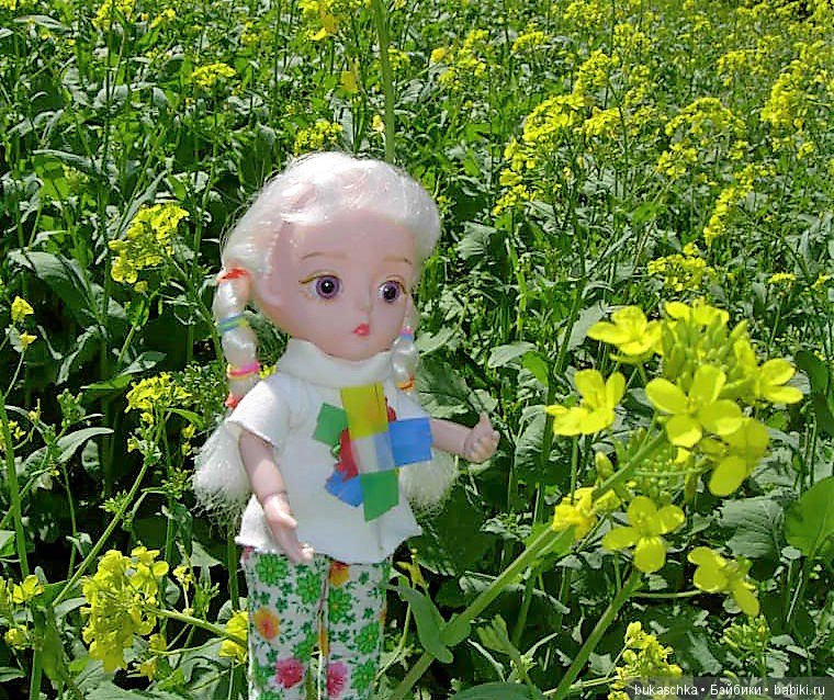 Посадил дед репку — Разные шарнирные куклы (не БЖД): редкие (фото 3)