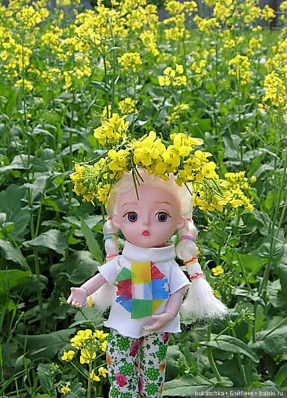 Посадил дед репку — Разные шарнирные куклы (не БЖД): редкие