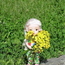 Посадил дед репку