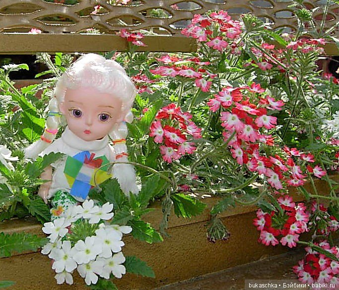 Летние праздники! Ура — Разные шарнирные куклы (не БЖД): редкие (фото 6)