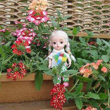 Летние праздники! Ура!