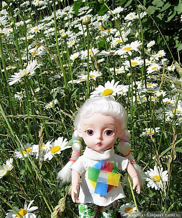 Ромашковое лето — Разные шарнирные куклы (не БЖД): редкие (фото 4)