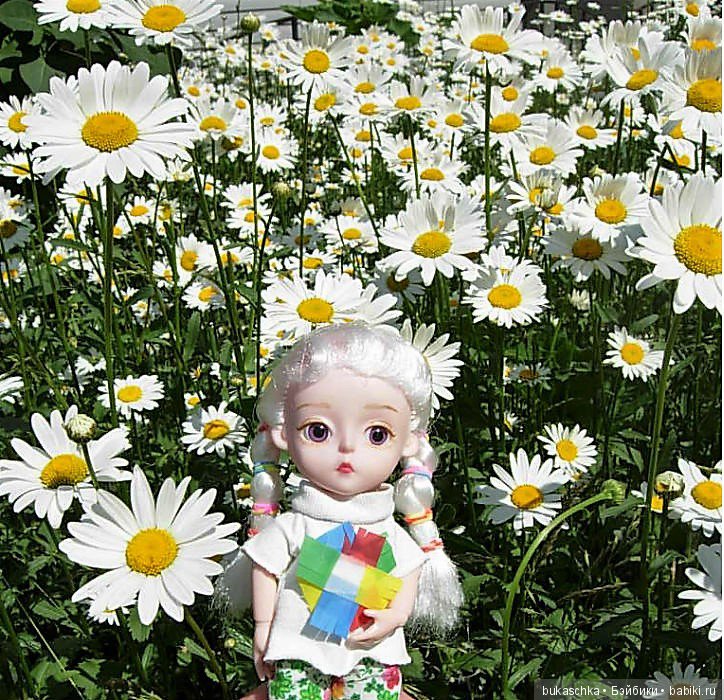 Ромашковое лето — Разные шарнирные куклы (не БЖД): редкие