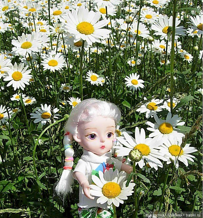 Ромашковое лето — Разные шарнирные куклы (не БЖД): редкие (фото 2)