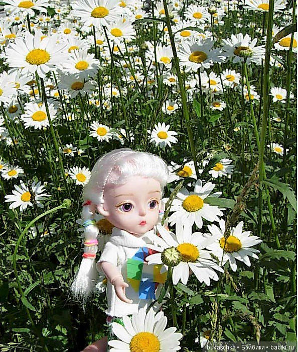 Ромашковое лето — Разные шарнирные куклы (не БЖД): редкие (фото 3)